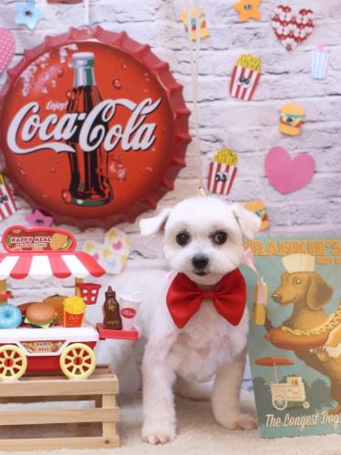 20230906うららちゃん